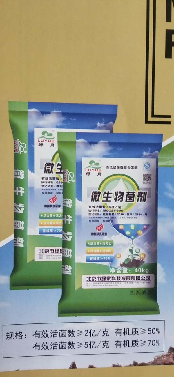 绿月5-50