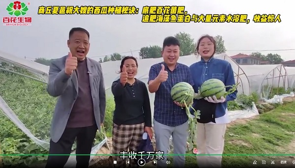 用户回访：商丘夏邑祝大嫂的西瓜种植秘诀